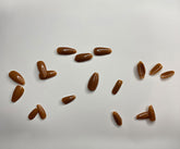 Almond Shaped Press-on Nails in a Caramel or Mocha Brown Shade With Application Kit